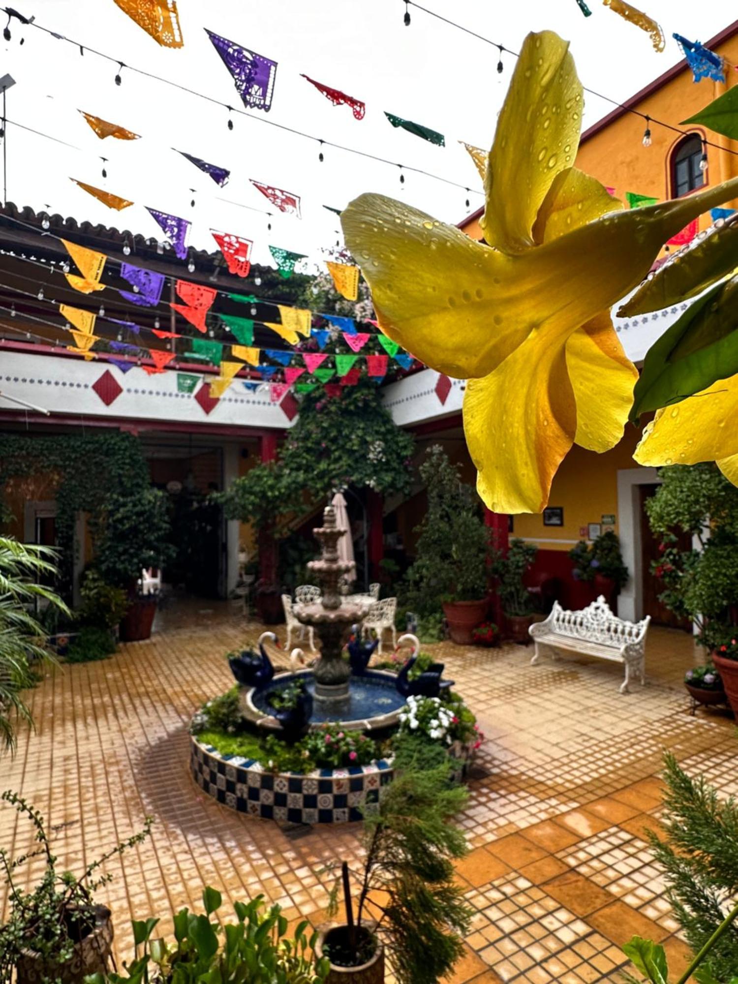 Hotel Copa de Oro Mascota Exterior foto