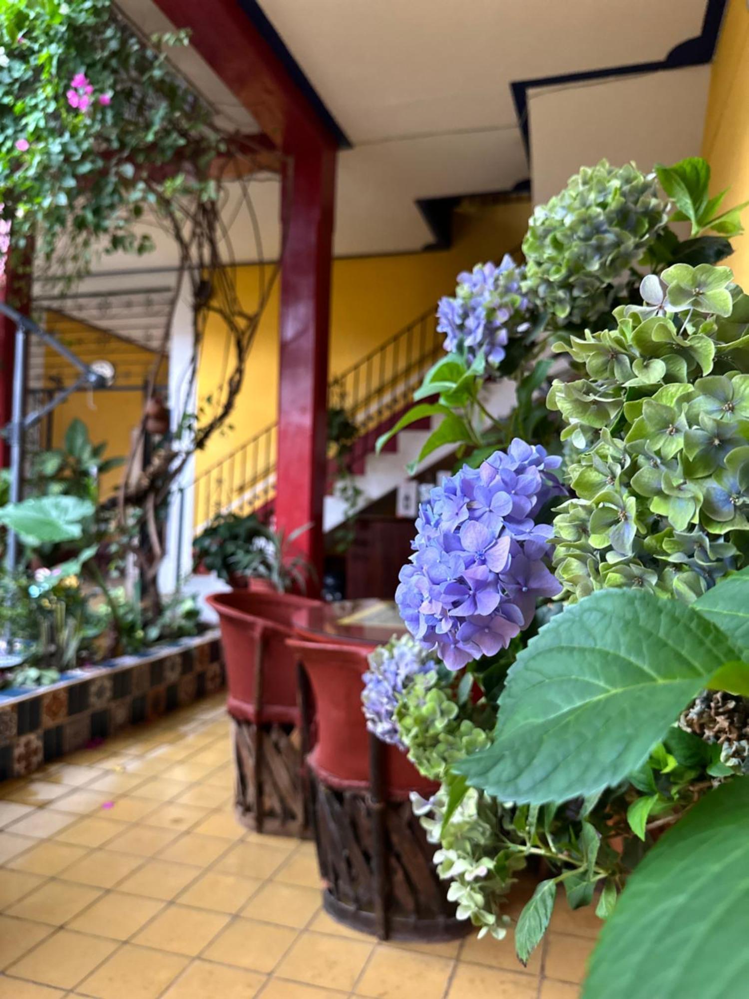 Hotel Copa de Oro Mascota Exterior foto